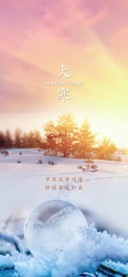 大寒节气手机海报图片素材