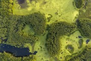自然湿地森林湖泊俯瞰