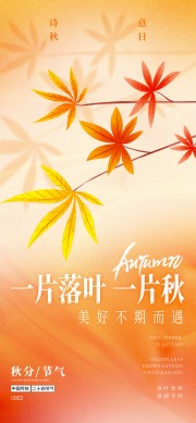 一片落叶一片秋秋分广告