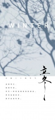 简约大气立冬节气海报