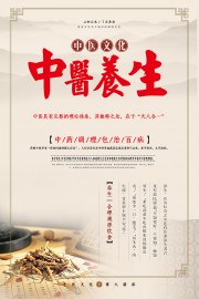 中医养生传统中医文化宣传海报