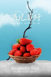 遇见莓好小清新草莓水果宣传海报