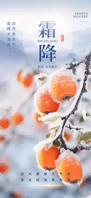 柿子主题霜降节气广告