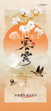 传统节气寒露海报