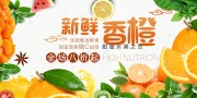 新鲜水果橙子展板