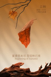 立秋节气暖色调简约意境海报