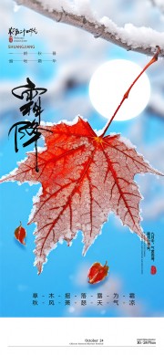二十四节气霜降海报