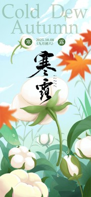 唯美诗意中国传统节气寒露广告