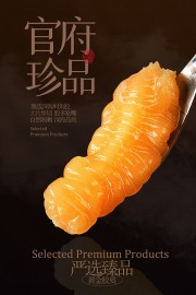 珍品花胶食材简约宣传海报