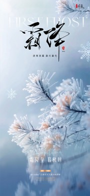 二十四节气霜降宣传海报