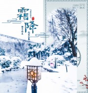 二十四节气霜降宣传海报