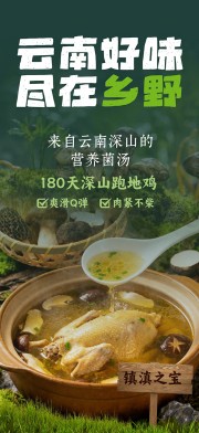 云南菜山野美食餐饮海报
