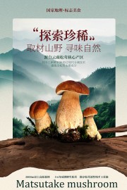 取材山野寻味自然松茸食材宣传海报