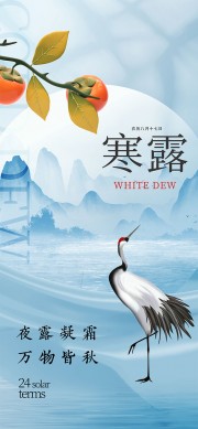 夜露凝霜传统二十四节气寒露海报