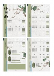 国风美容沙龙价目表设计