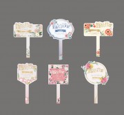 求婚订婚结婚手举牌