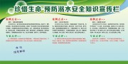 珍惜生命预防溺水安全知识宣传展板图片