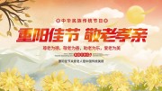敬老孝亲重阳佳节展板