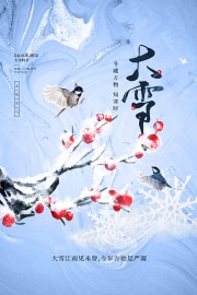 冬藏万物知寒时大雪节气广告