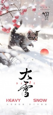 手绘大雪节气海报