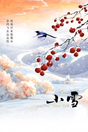 小雪节气海报设计