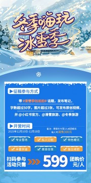 简约冬天滑雪季旅游促销宣传海报