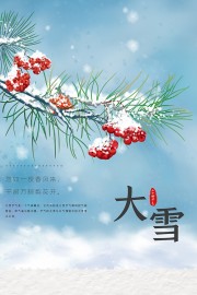 落雪枝头大雪节气海报