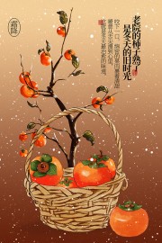 柿子熟了霜降节气广告