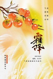 文艺清新中国传统节气霜降广告