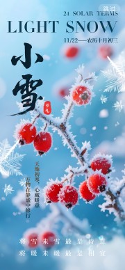 创意简约二十四节气小雪海报