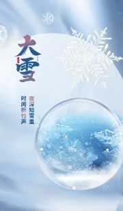 夜深知雪重大雪节气广告