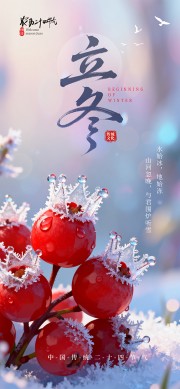 山楂主题立冬节气宣传广告