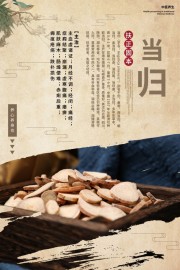 中医养生当归药理知识海报