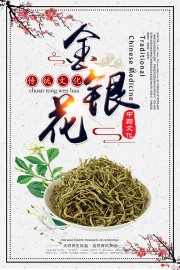 养生珍品金银花药理知识海报挂图