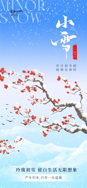 传统二十四节气小雪海报