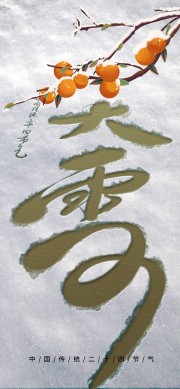 二十四节气大雪海报