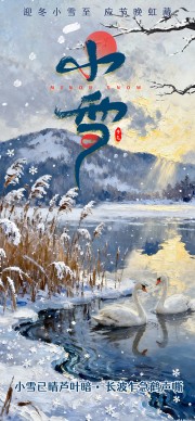 节气海报小雪图片素材