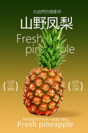 凤梨水果海报图片素材