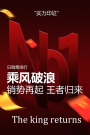 实力印证销量排行榜宣传海报