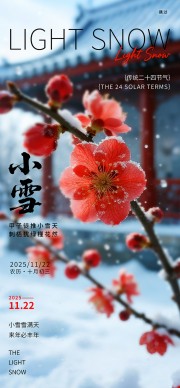 创意小雪节气海报