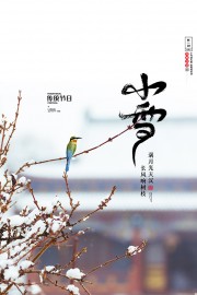 小雪节气传统海报