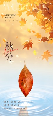 落叶背景秋分节气海报
