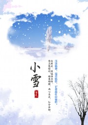 简洁小雪节气海报