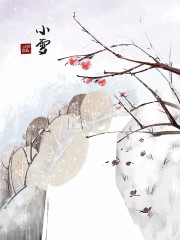 白色小雪节气海报