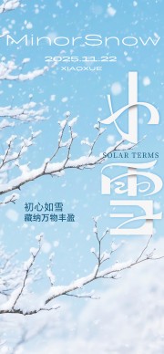 二十四节气小雪广告