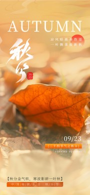 二十四节气秋分海报图片素材