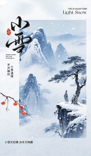 简约小雪节气广告设计