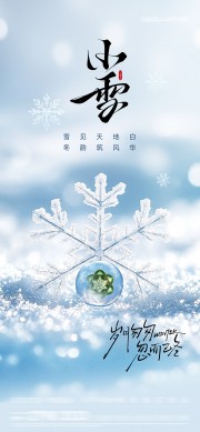 小雪传统节气海报
