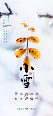 中国传统小雪节气海报