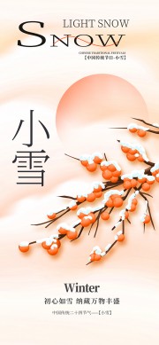 创意简约小雪节气海报设计